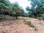 മണർകാട് - അരിപ്പറമ്പ് - 14 സെൻ്റ്  സ്ഥലം ഒന്നിച്ച് വിൽപ്പനക്ക്.