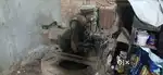 Ma apna genater Bachan chata ho