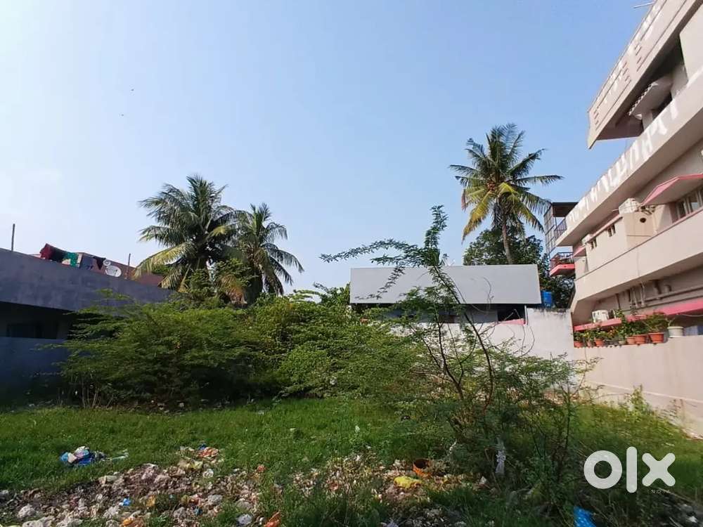 Turangi zpph high school