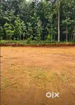 രാമപുരം ടൗണിൽ അടുത്ത് ഹൗസ് പ്ലോട്ടുകൾ വിൽപ്പനയ്ക്ക്