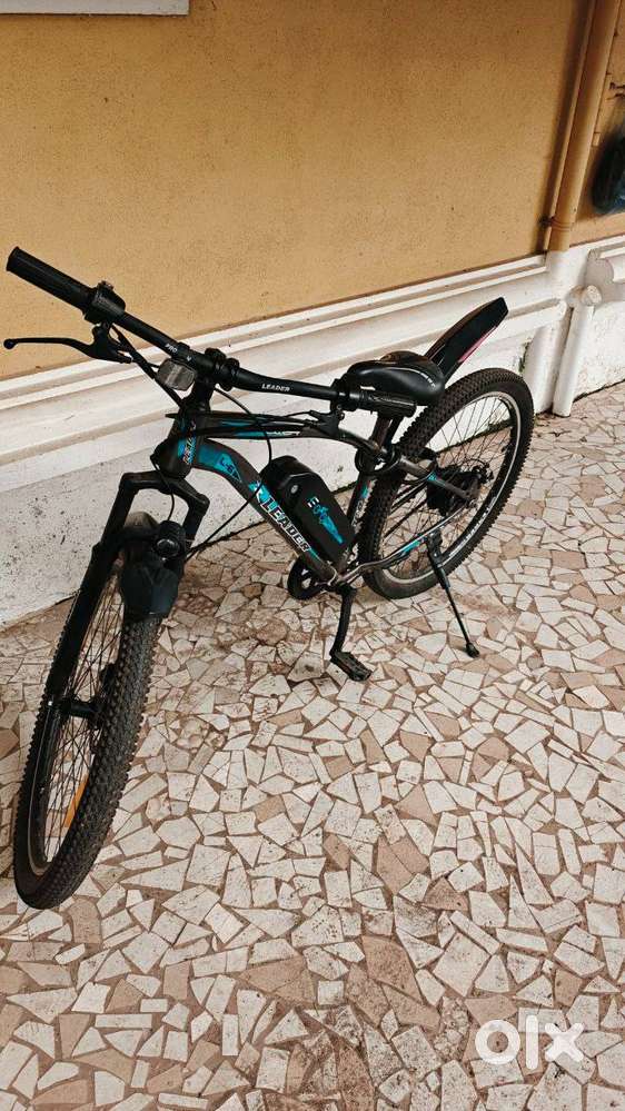 Leader Sport Electric Bike