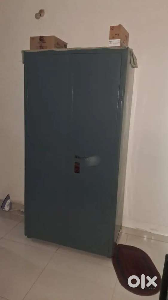 Old Cupboard fully repaired & coloured