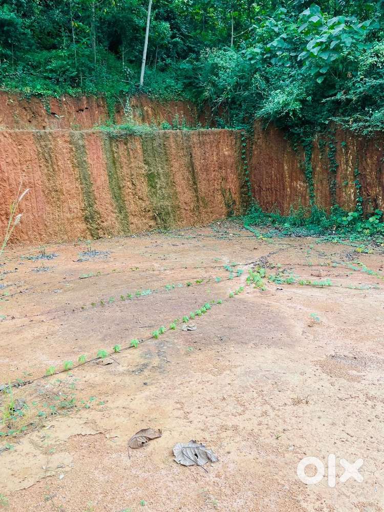 10 സെന്റ് ഭൂമി വിൽപനയ്ക്ക്