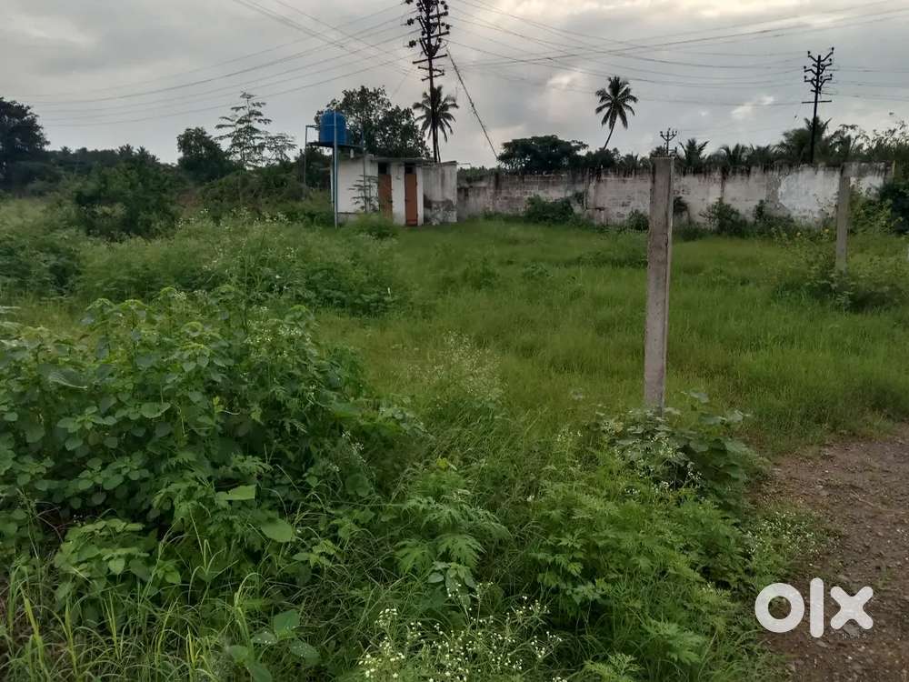 10 Cent Main Road Plot – Poonga Nager, Pollachi