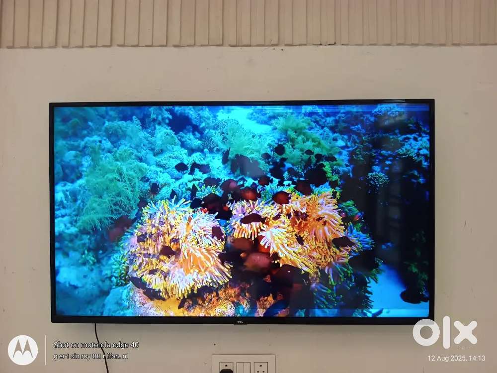 55 inch TCL led smart tv