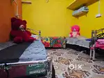 Girls hostel self cooking / pg for women / pg for ladies