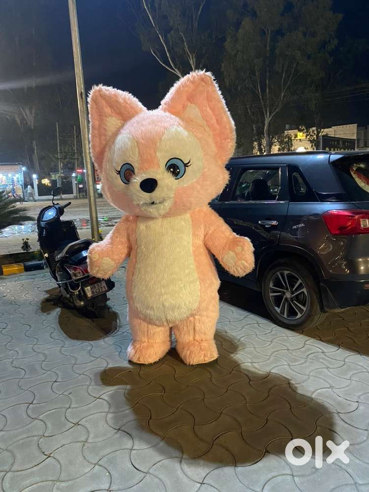 Required a trained Driver for personal Car driving