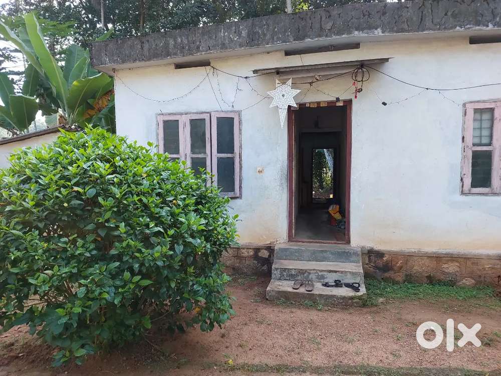 8cents housing land sale only 18L - kurampala - NSS college pandalam