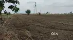 3-ACRE PRIME LAND FOR SALE  WARDHA ROAD ROTHA