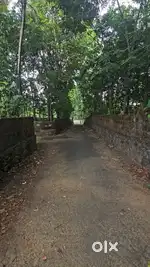 1 acre for Sale – Angamaly Mookkannoor