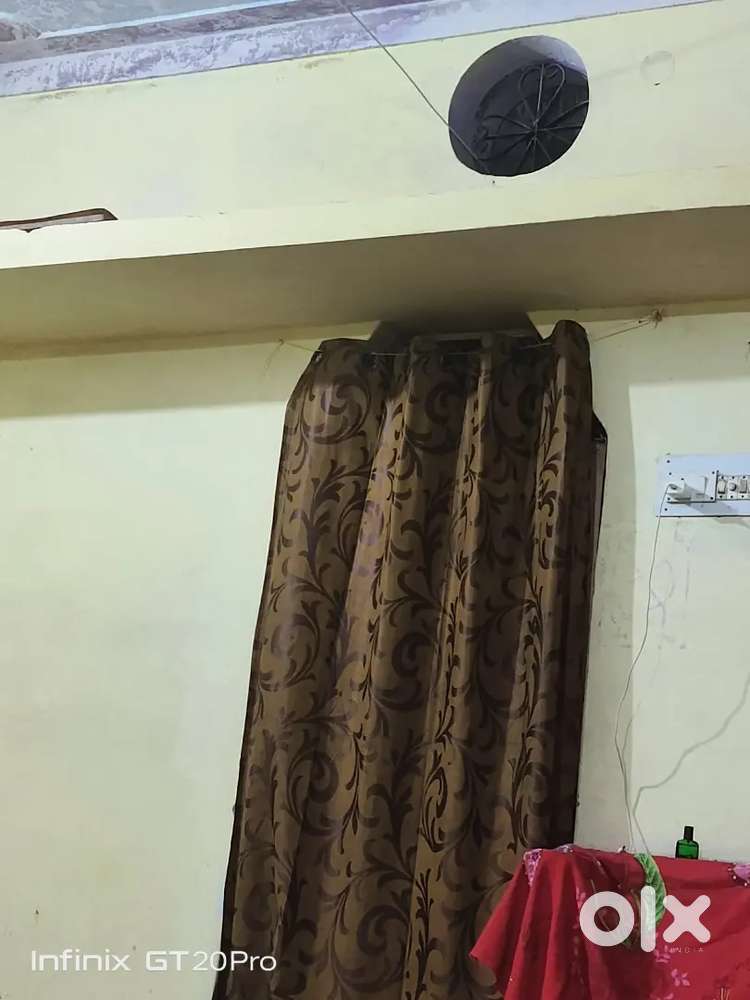 I need a girl roommate