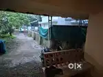 KORATTY 6 cent 1100 sqft 3bhk house.KORATTY  INFOPARK 2k