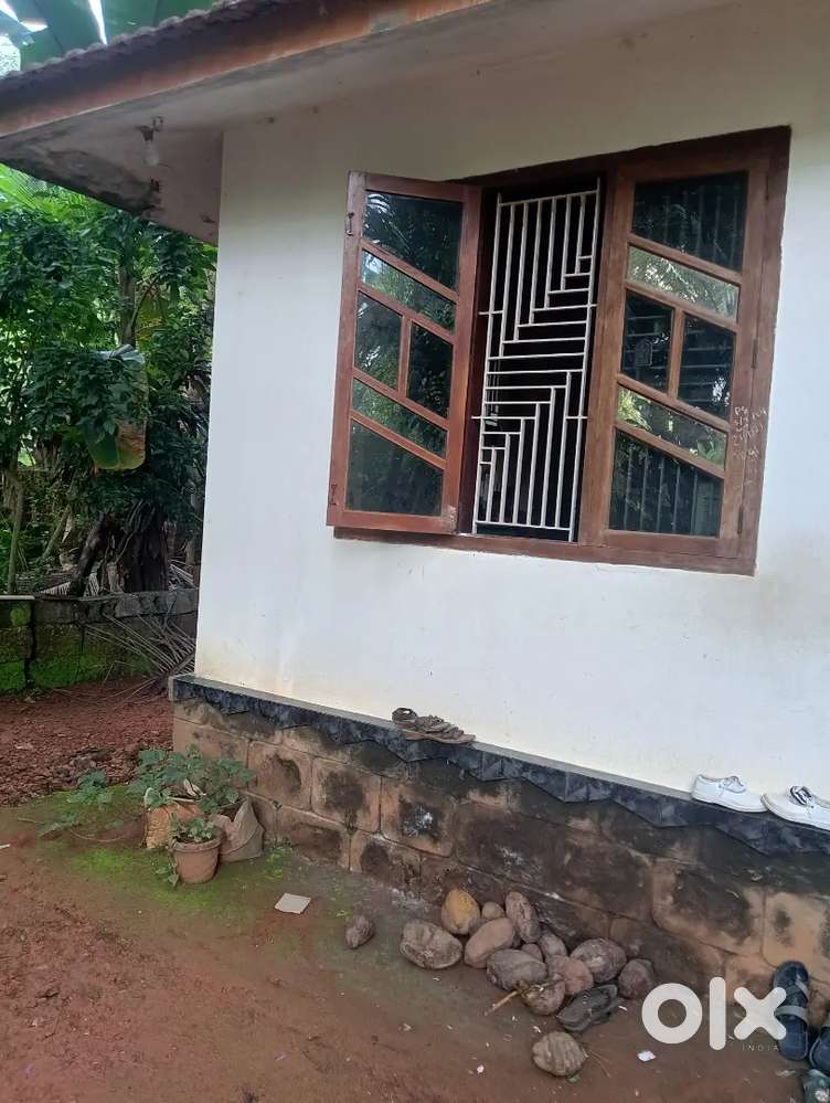 House for rent