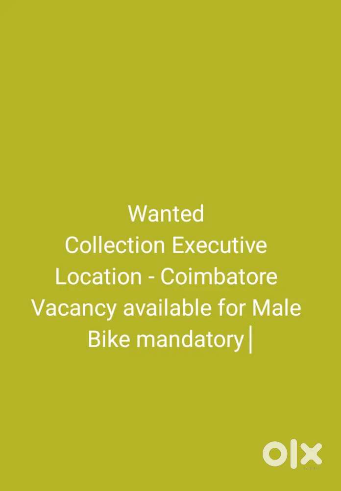 Collection Executive