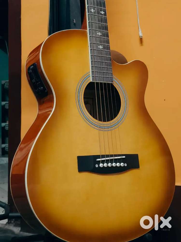 Hertz 4000 TS acoustic guitar