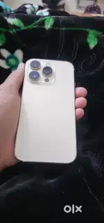 iPhone 14 Pro 256 GB Indian Variant