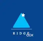 Marketing Executive