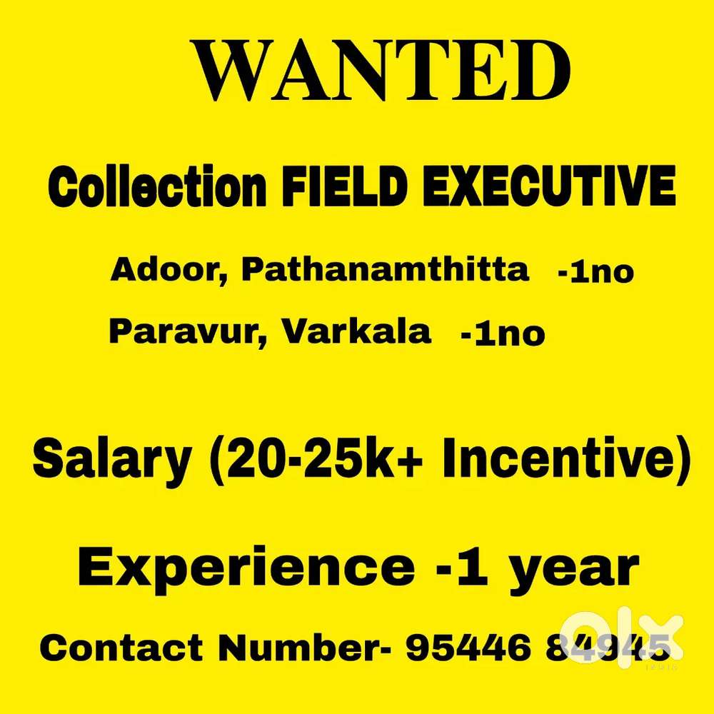 Collection field exicutive