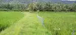 ĺ60 cents of agriculture land for sale in Pothundy , Nemmara