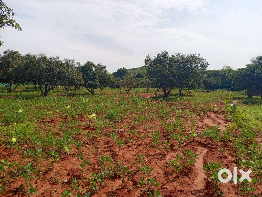 Sale of hill view farm land