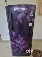Lg 4 star rated inverter fridge