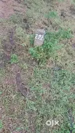 PLOT FOR SALE ( Interested  buyers can contact for the deal )
