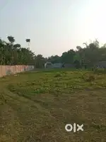 Want to Selling My Land Property