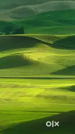 Agriculture land for sale