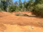 20 cent housing plot land parambu pullode Thrippalur Alathur Palakkad