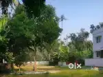 Premium residential plots of 5, 6, and 12 cents near Varissery