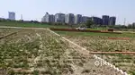 FNG Six Line Highway par plot Sector 150 Noida Best investment ke plot