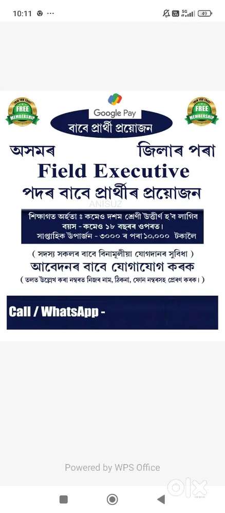 Google pay bussiness job