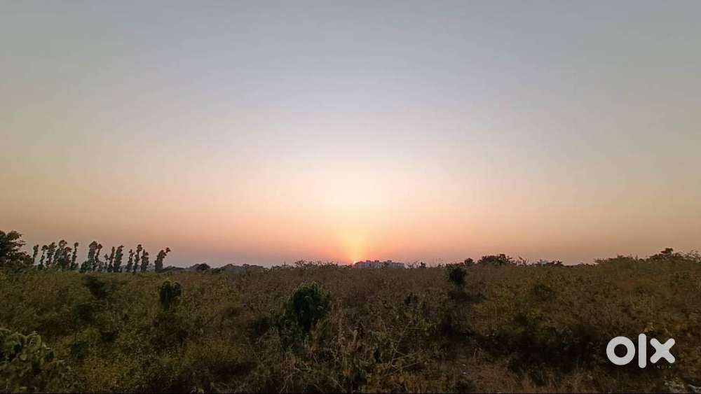 Dheradun IT Prak Plot Ajao Lelo