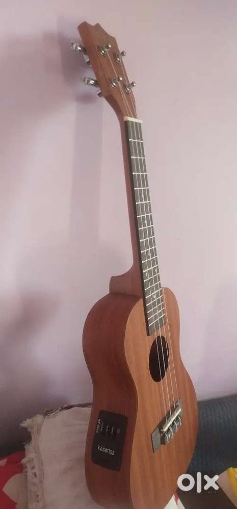 Ukulele kadence (New)