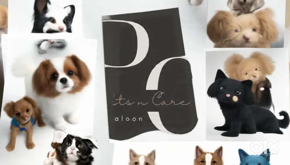 Pets grooming and pets hosteling