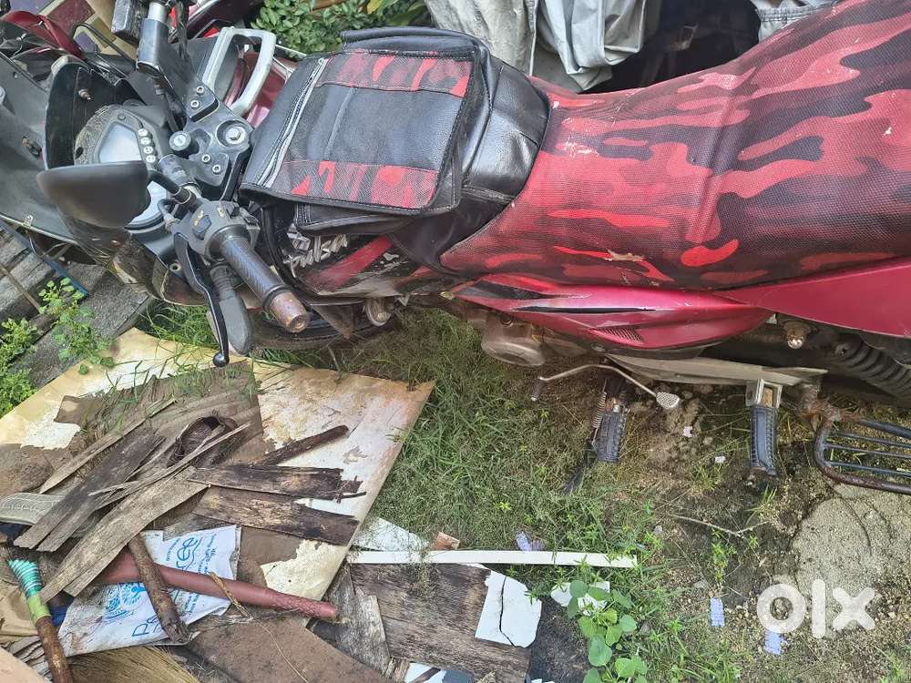 Bick for sale
