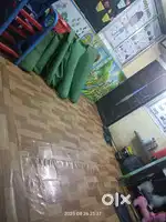Room for rent only class and tution