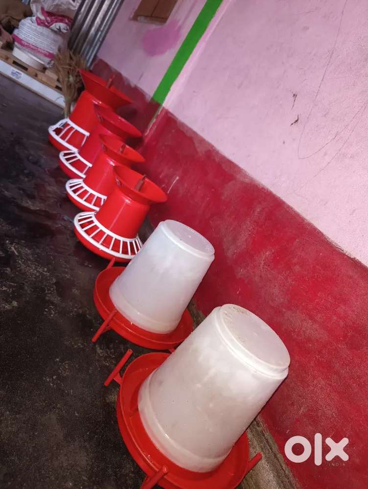 মুরগির দানা ও জল খাওয়ানোর পাত্র একদম কমদামে নিতে যোগাযোগ করুন