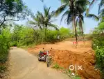House Plot for Sale - 10 Cent Parambu Pothundy Nemmara Palakkad Kerala