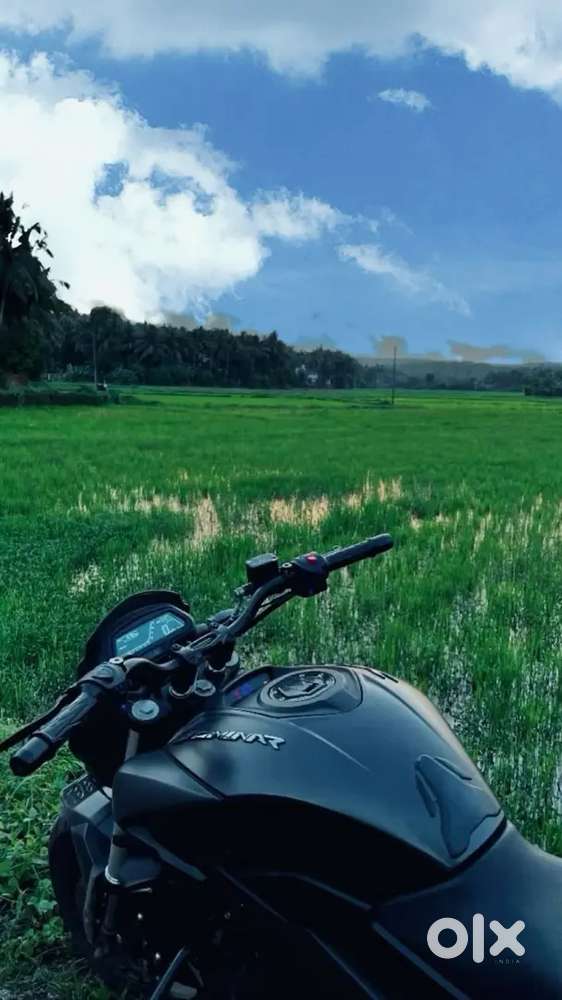Dominar 400 I want to buy