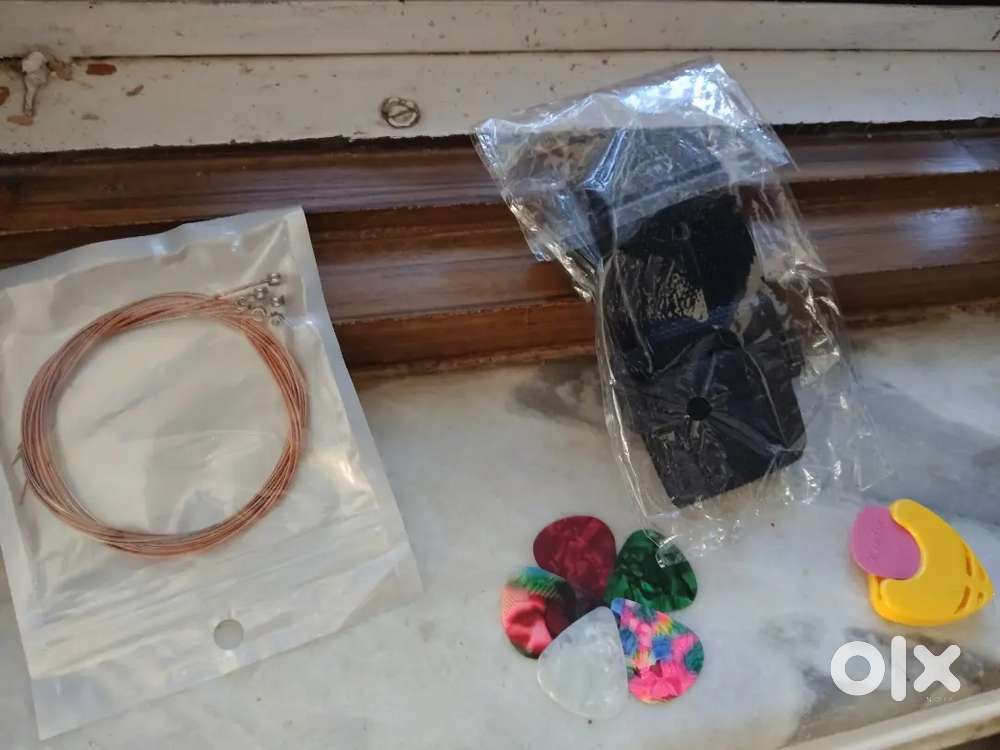 Music instrument ; guitar