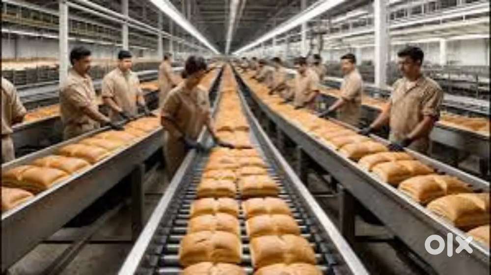 Wanted male/female packing helpers with food/ stay