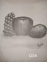 Sketch still life  apple mango  grapes with beautiful water properties