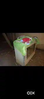 Counter of shop