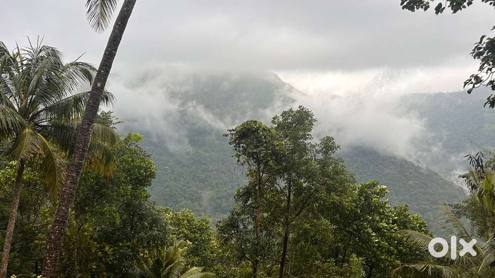 Highway Frontage Commercial property Available at Vagamon