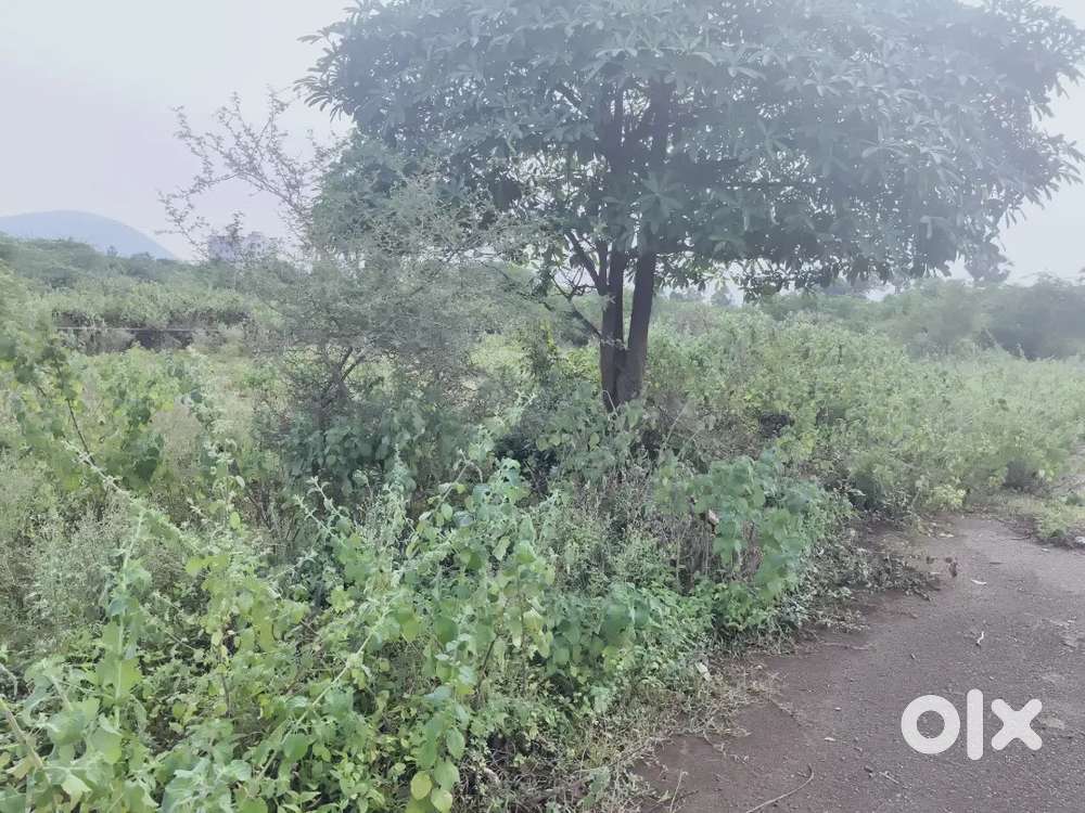 #Semi commercial site avilable at baba cancer hospital