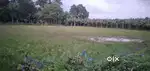 Land for Sale – 12 Katha (24 Decimal)  Price 60 Lakh
