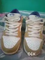 Nike SBdunk low pro
