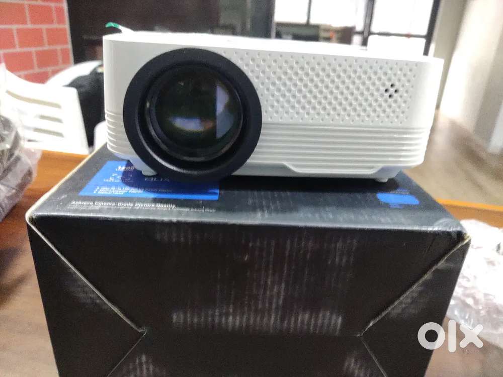 Projector with screen