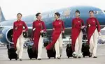 Urgent hiring for Airlines jobs Male & Female Fresher& expierence  he